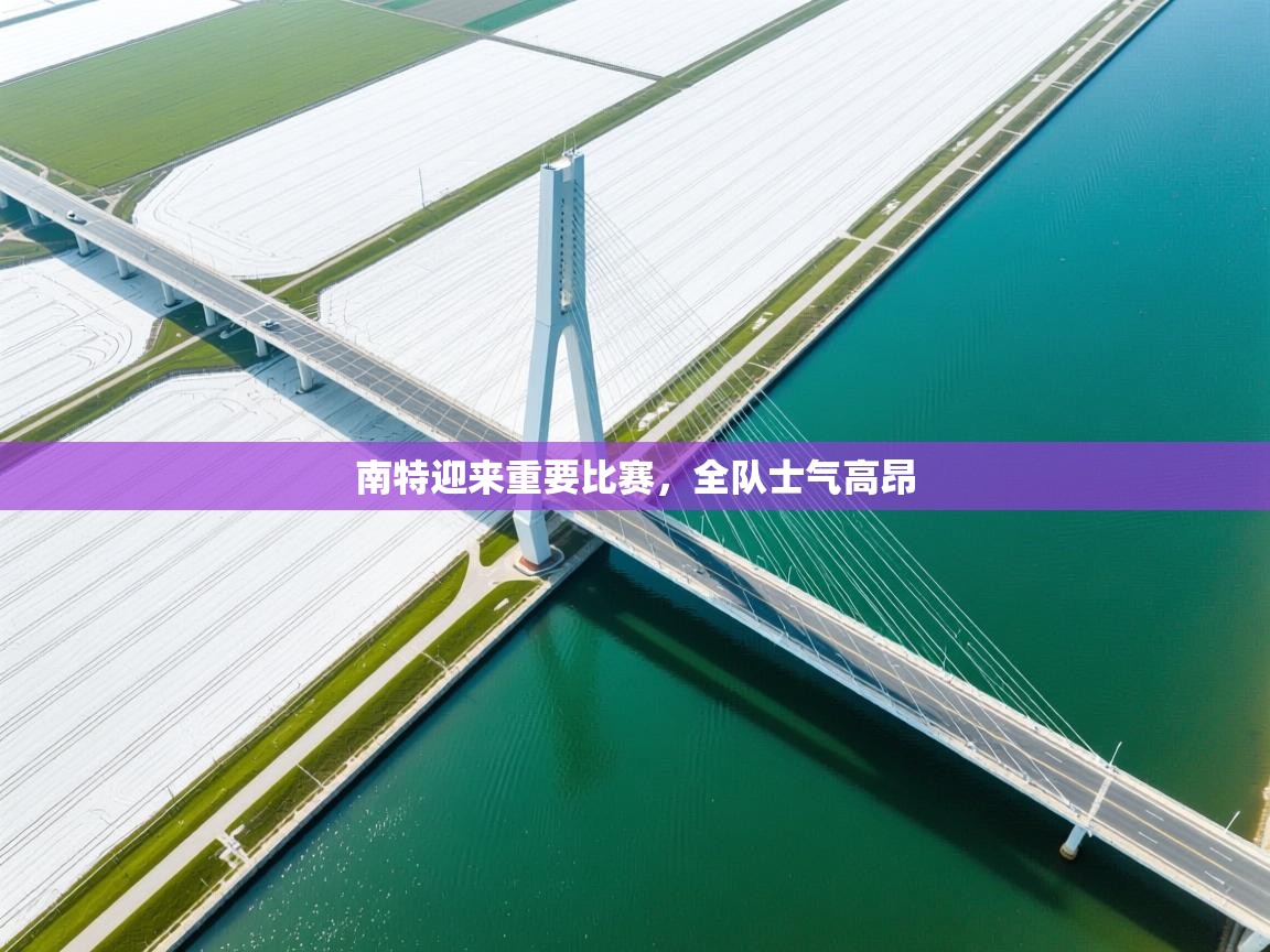 南特迎来重要比赛，全队士气高昂  第1张