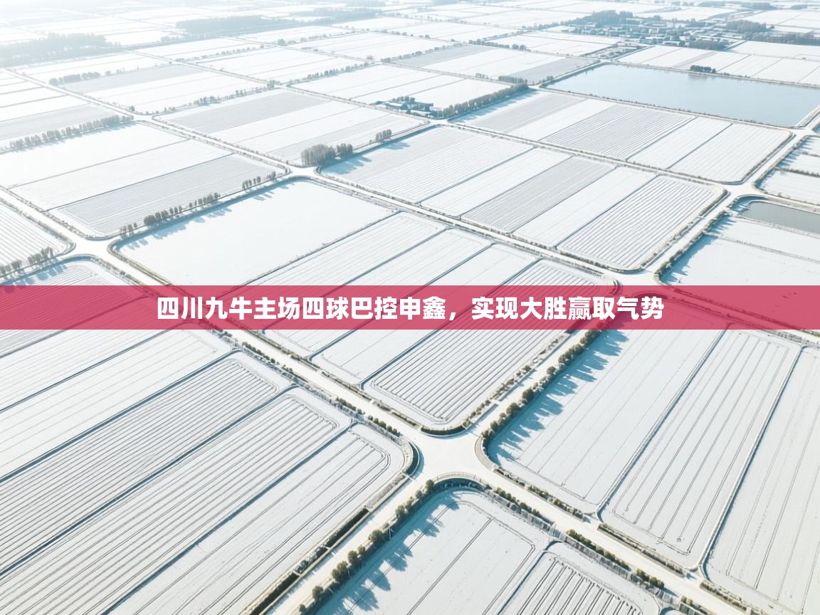 四川九牛主场四球巴控申鑫，实现大胜赢取气势  第2张