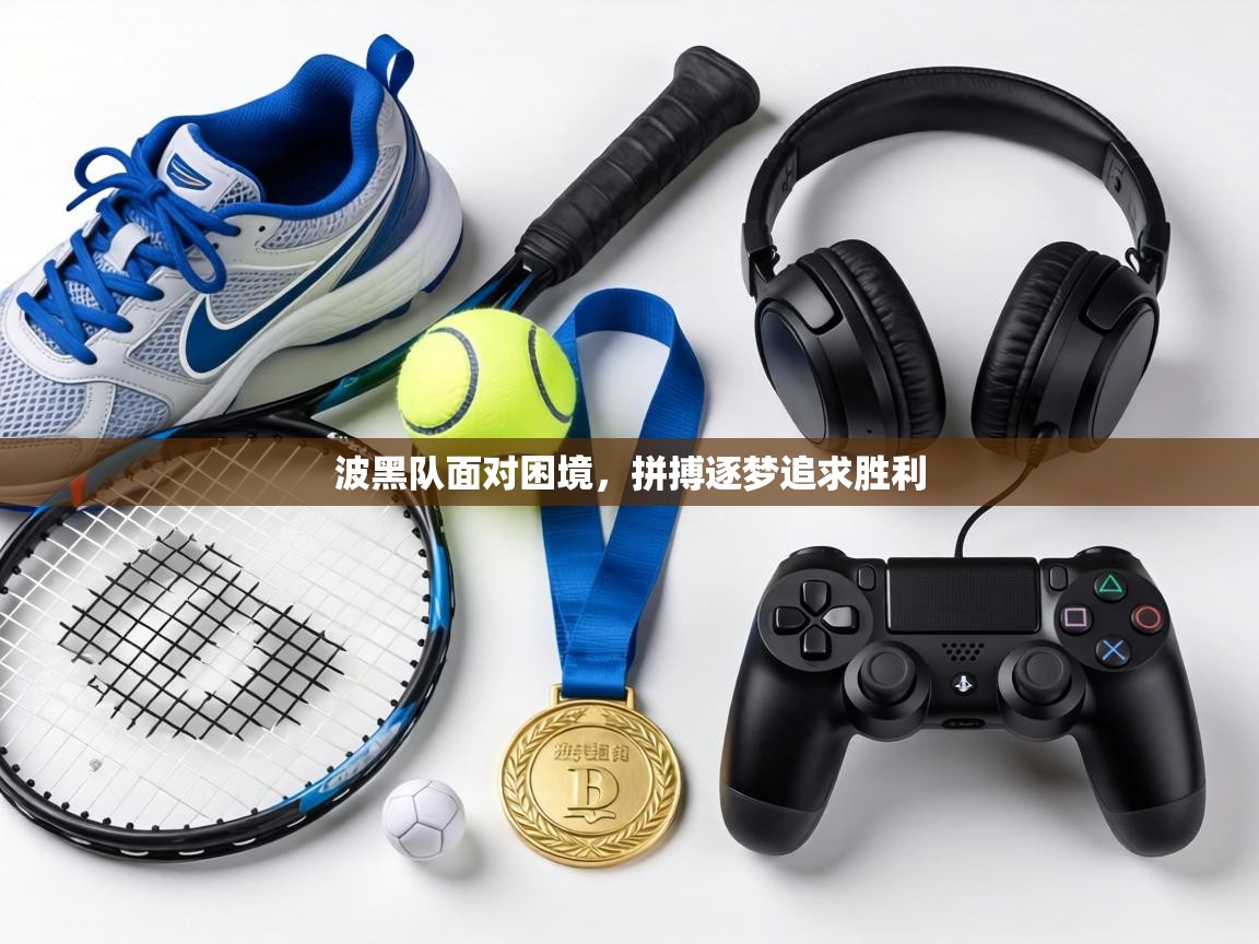 波黑队面对困境，拼搏逐梦追求胜利  第2张